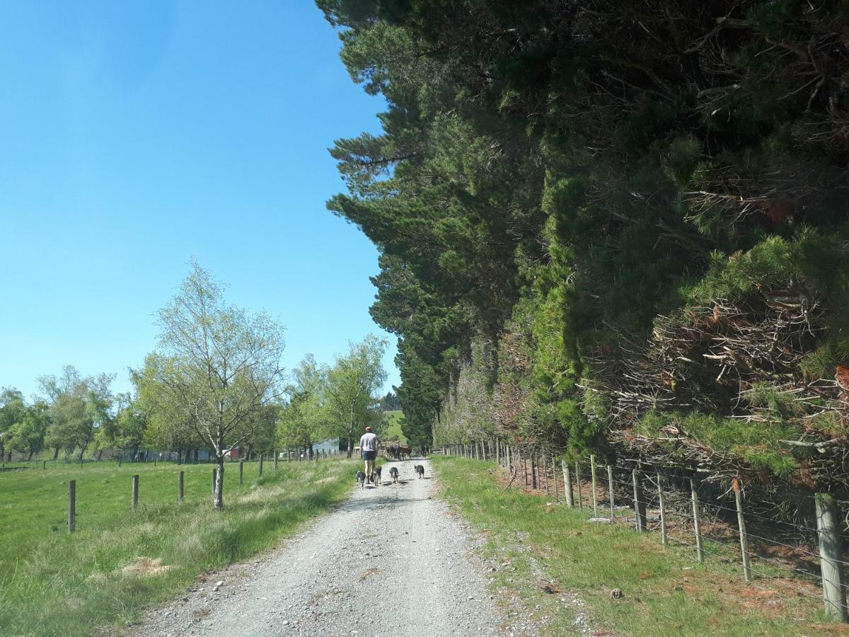 Te Anau Farm Cottage エクステリア 写真
